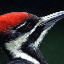 Схема вышивки «дятел»