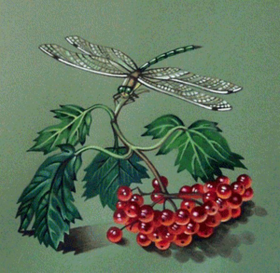 стрекоза - ягоды, стрекоза - предпросмотр