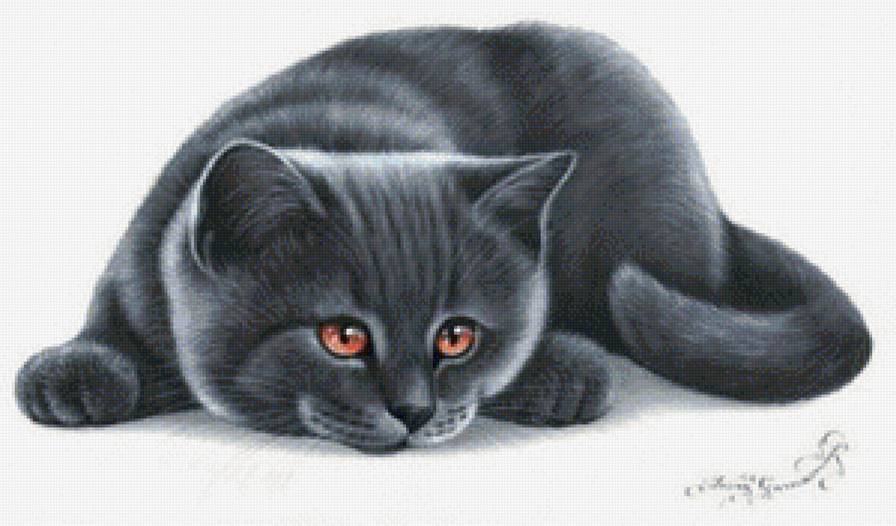 Кот - кот, кошка - предпросмотр