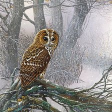 Схема вышивки «ночной страж»