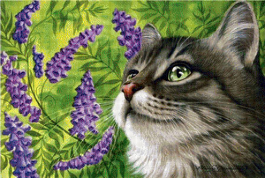 Кот - кошка, кот - предпросмотр