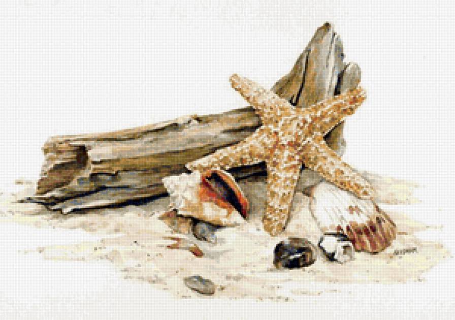 морской натюрморт - песок, ракушки, морской, натюрморт - предпросмотр