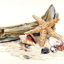 Схема вышивки «морской натюрморт»