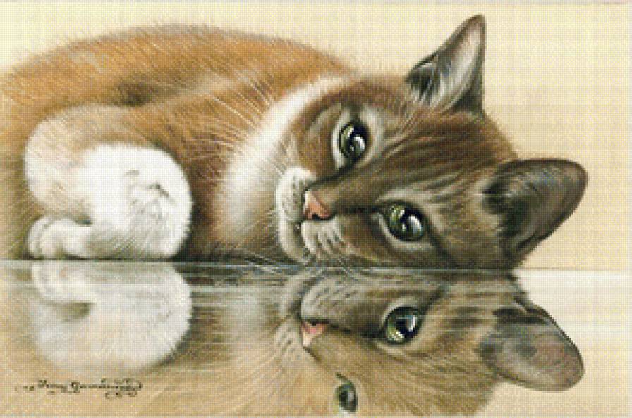 Кот - кот, кошка - предпросмотр