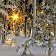Схема вышивки «ЗИМА, ЛЕС, СНЕГ»