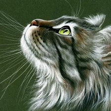 Худ. Гармашова Ирина