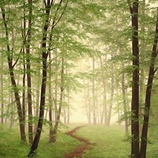 Схема вышивки «№1224558»