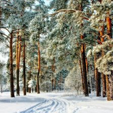 Схема вышивки «Сказочный лес»