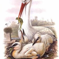 Схема вышивки «аист на крыше»