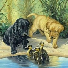 Схема вышивки «Щенки и утята»