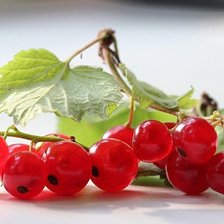 Схема вышивки «смородина»