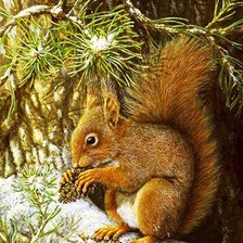 Схема вышивки «Белочка»