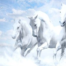 Схема вышивки «Белые лошади»