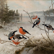 Схема вышивки «№1225799»