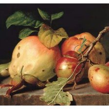 Схема вышивки «Натюрморт»