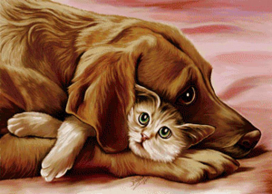 Друзья - собаки, животные, коты, кот - предпросмотр