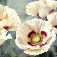 Схема вышивки «Панно с маками»