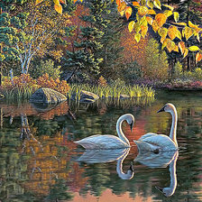 Схема вышивки «старый пруд»