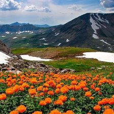 Схема вышивки «Огоньки»