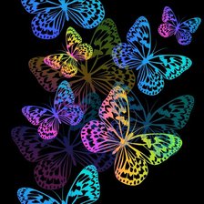 Схема вышивки «бабочки на черном фоне»