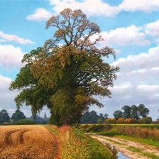 Схема вышивки «№1227814»