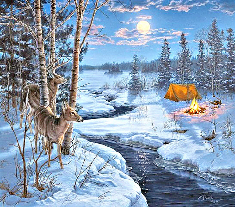 в лесу - природа. пейзаж. олени. лес. ночь - оригинал