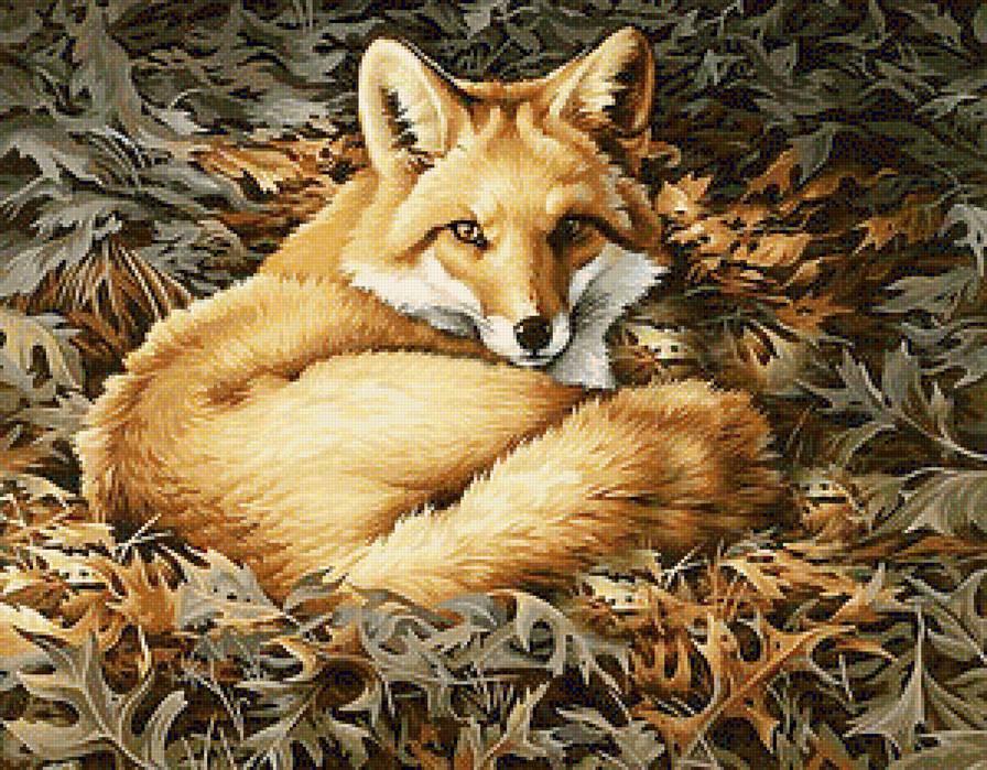 Лисичка - животные - предпросмотр