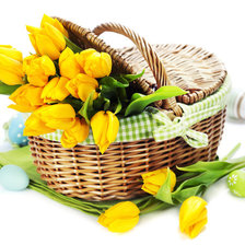 тюльпаны в корзине
