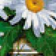 Предпросмотр схемы вышивки «раз ромашка,два ромашка...» (№1228287)