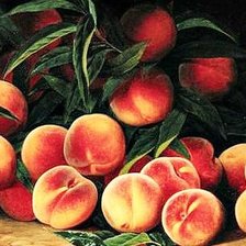 Схема вышивки «Персики»