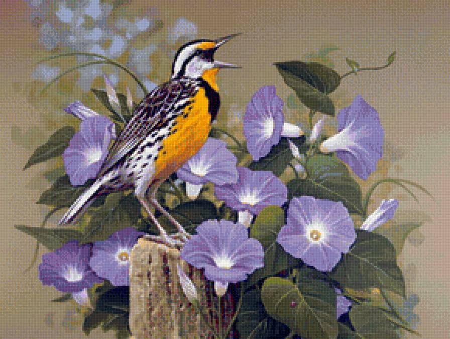 Поющая птица и вьюнок - цветы, вьюнок, птица - предпросмотр