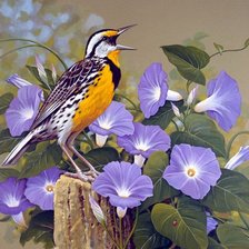 Схема вышивки «Поющая птица и вьюнок»