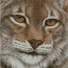 Схема вышивки «№1228702»