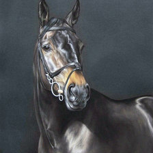 Схема вышивки «Худ. Дубинина Ю. Пророк»