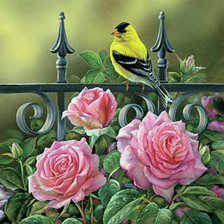 Схема вышивки «птица и розы»