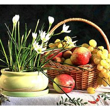 Схема вышивки «Натюрморт»