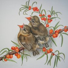 Схема вышивки «птички-невелички»