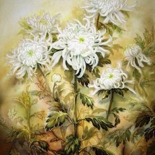 Схема вышивки «Хризантемы»