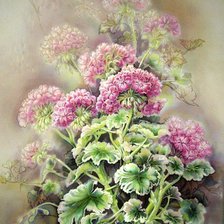 Схема вышивки «герань»