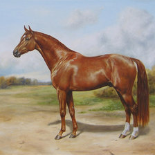 Схема вышивки «Худ. Дубинина Ю. Джаз Рубин»