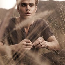 Схема вышивки «Пол Уэлси»