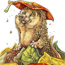 Схема вышивки «Ежик»