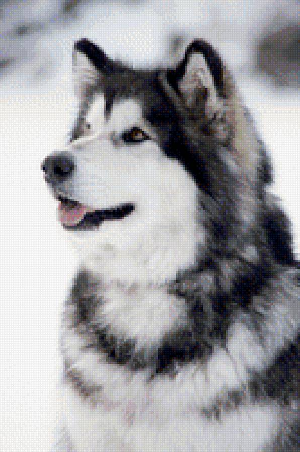 фото №1 - предпросмотр