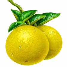 Схема вышивки «№1230222»