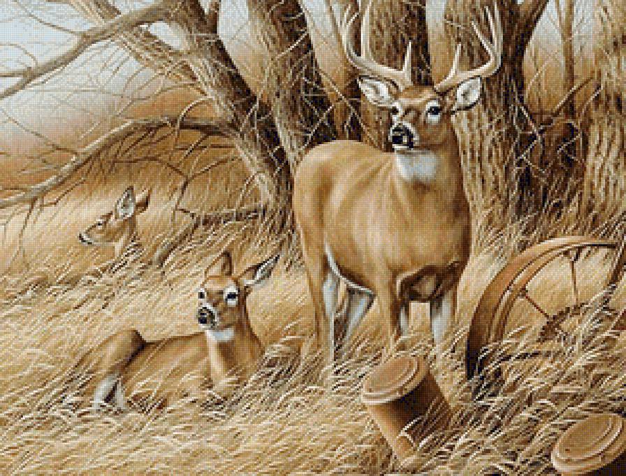 162 - лесные жители - предпросмотр