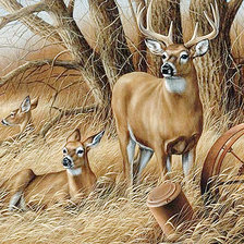 Схема вышивки «162»