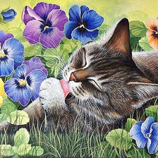 Схема вышивки «котик»