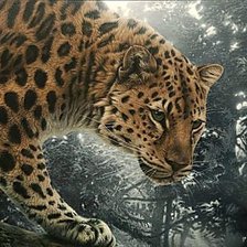 Схема вышивки «леопард»