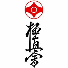 Схема вышивки «Киокушинкай4»