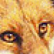 Предпросмотр схемы вышивки «Лисичка» (№1230888)